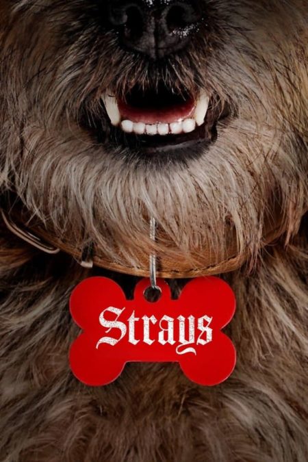 STRAYS Review
