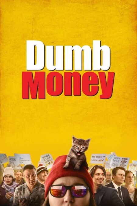 DUMB MONEY Review