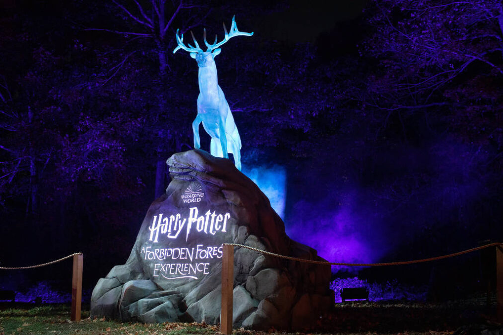THE HARRY POTTER FORBIDDEN FOREST EXPERIENCE Review